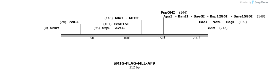 131398_map
