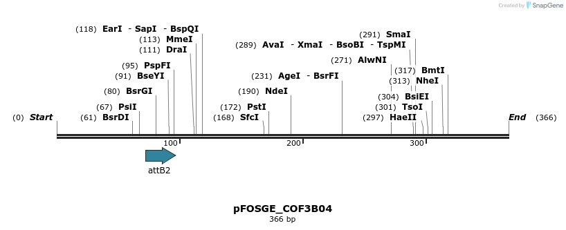131401_map