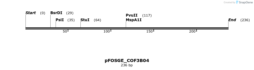 131402_map