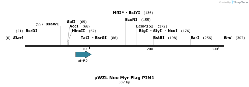 131403_map