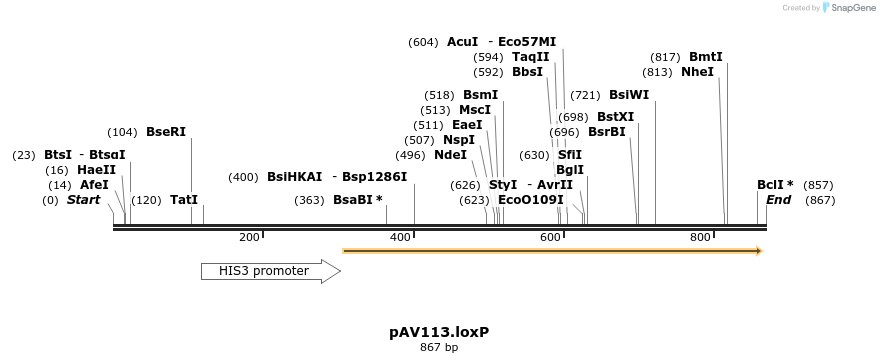 131405_map