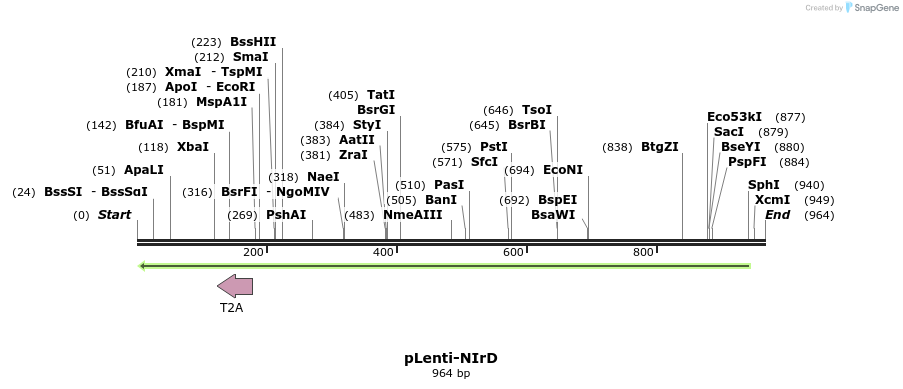131407_map