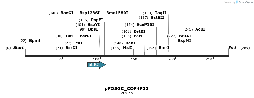 131408_map