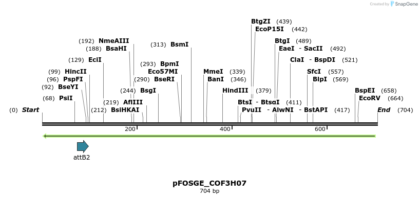 131416_map