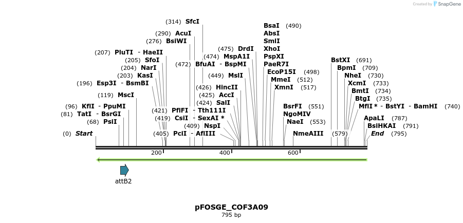 131417_map