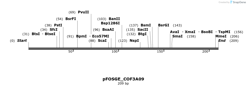 131418_map