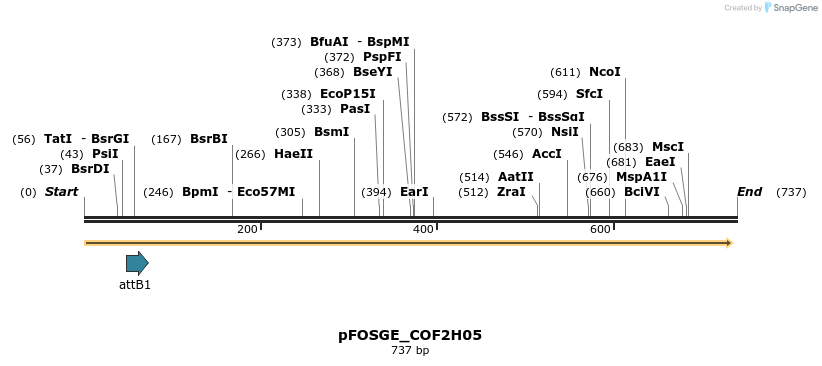 131420_map