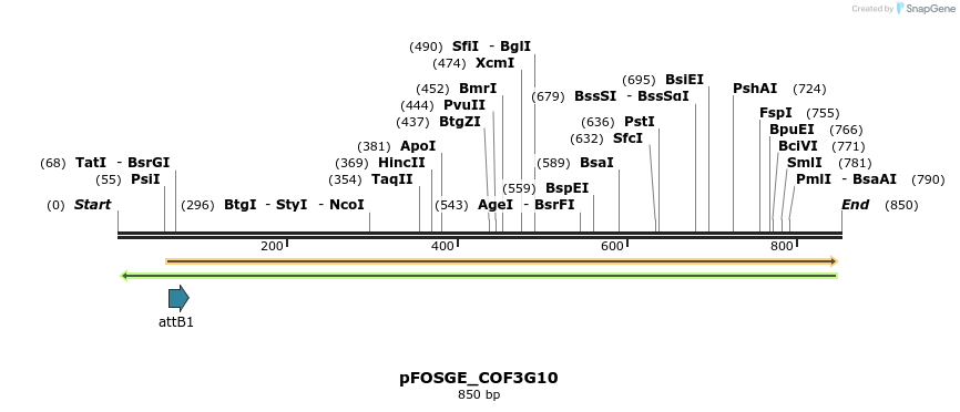 131422_map