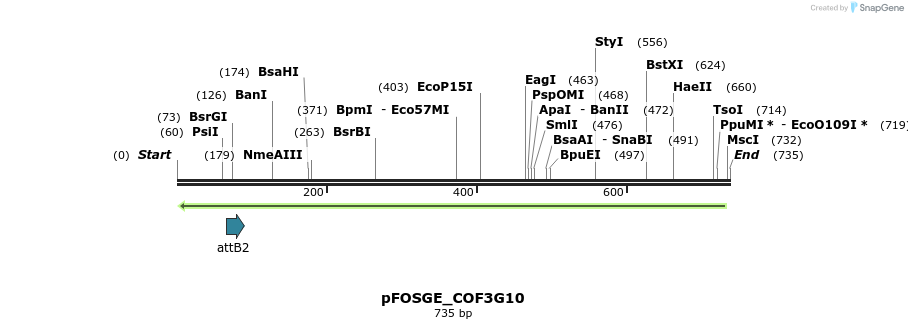 131423_map