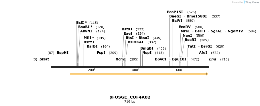 131424_map