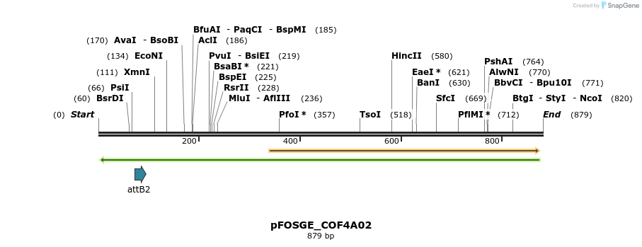 131425_map
