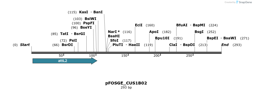 131427_map