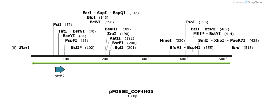 131428_map