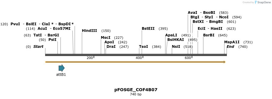 131429_map