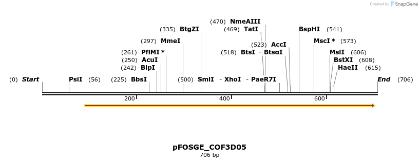 131431_map