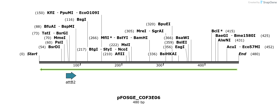 131435_map