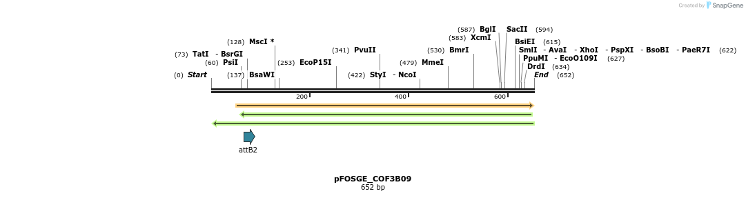131438_map