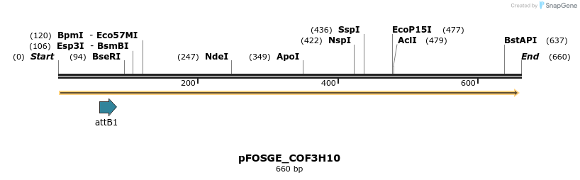 131439_map