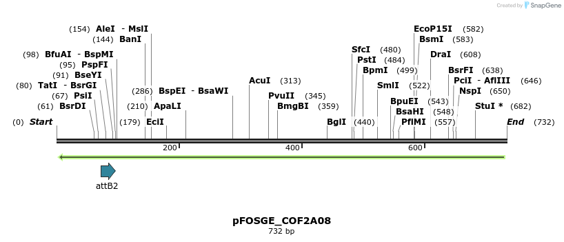 131442_map