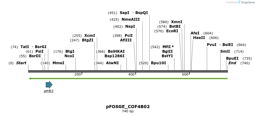 131444_map