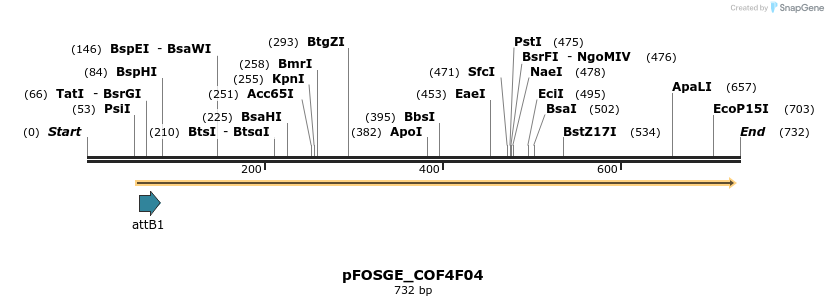 131446_map