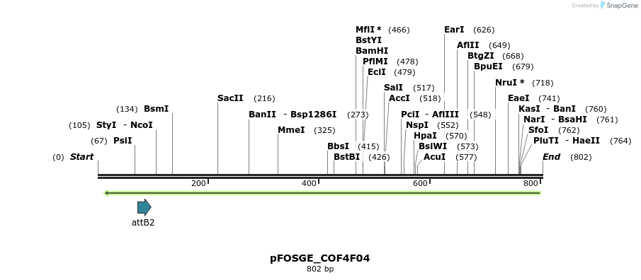131447_map
