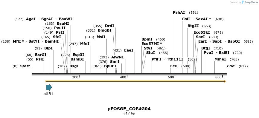 131448_map