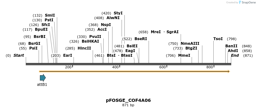 131452_map