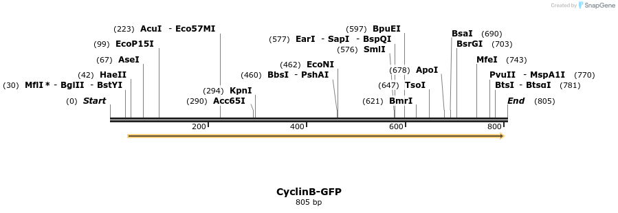 131456_map