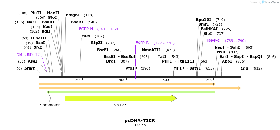131458_map