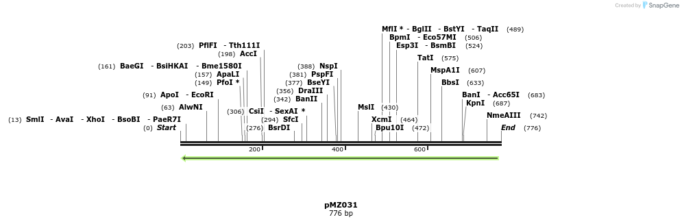 131459_map