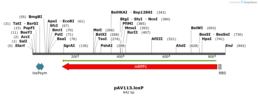 131460_map