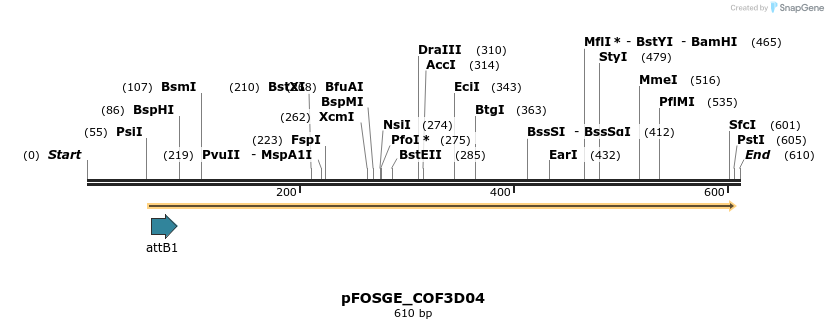 131465_map