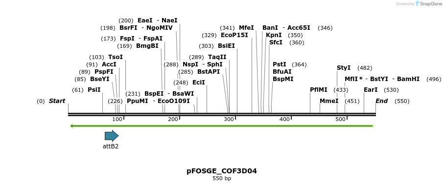 131466_map