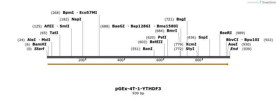 131467_map