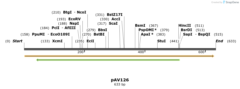 131468_map