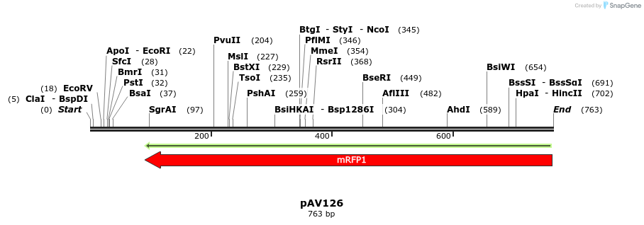 131469_map