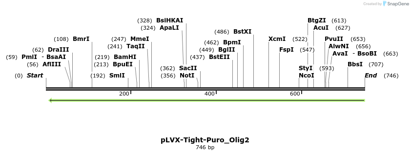 131477_map