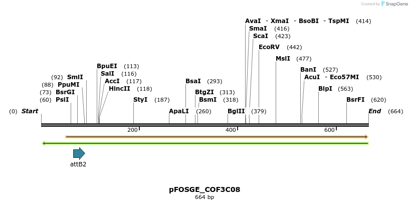 131480_map