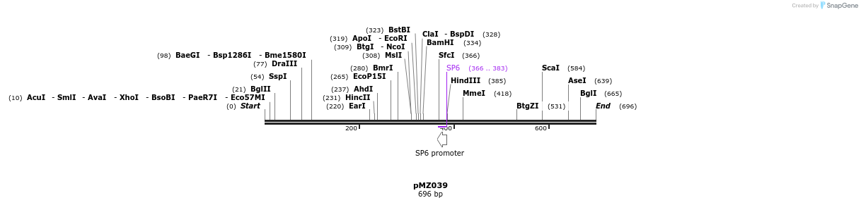 131485_map