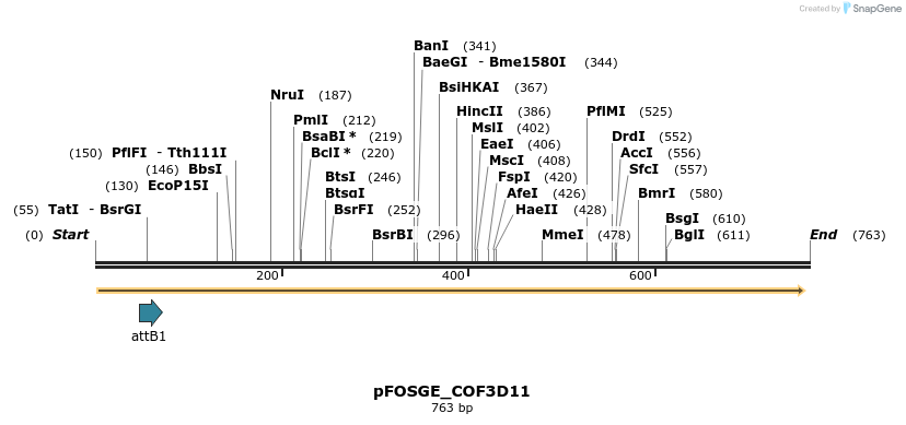 131487_map