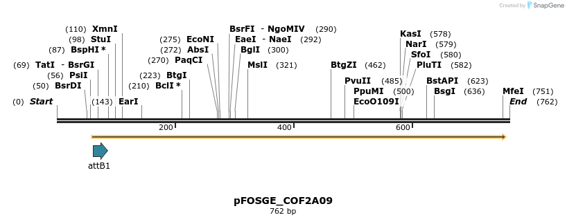 131488_map