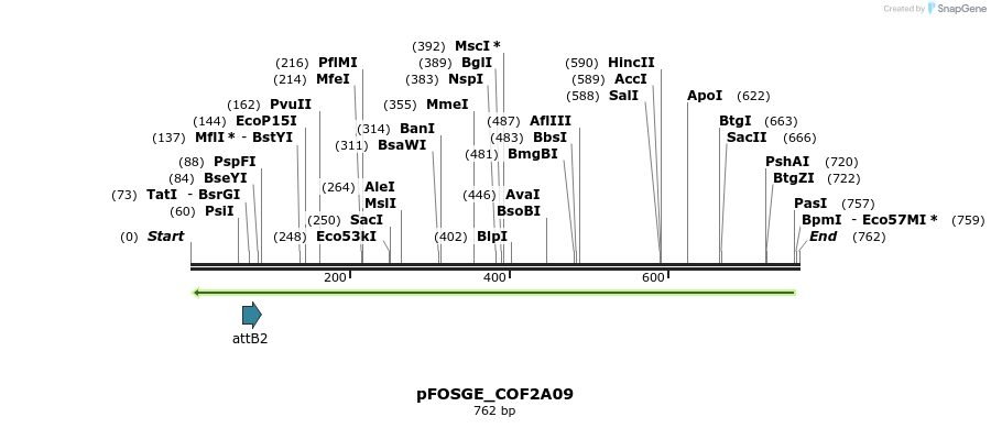 131489_map