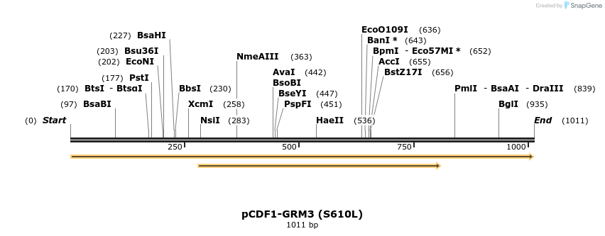 131490_map