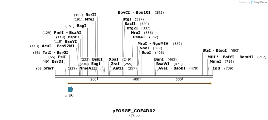 131494_map