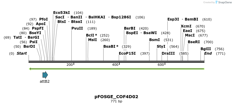 131495_map