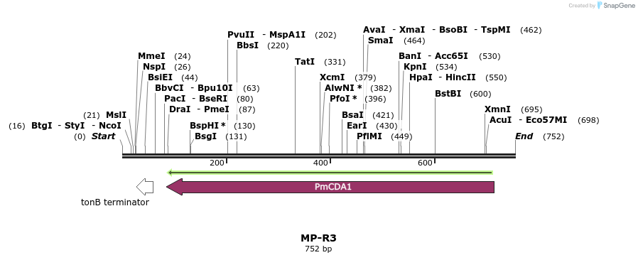 131497_map