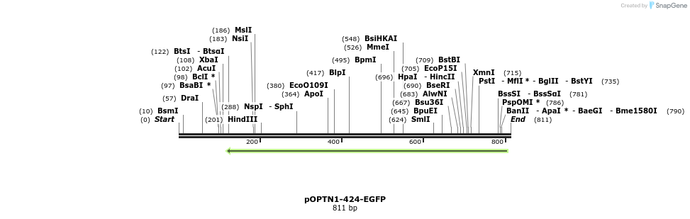 131498_map