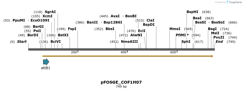 131499_map