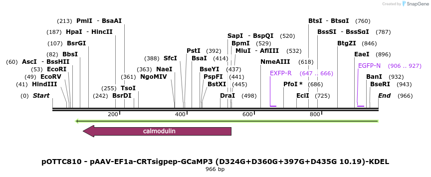131502_map